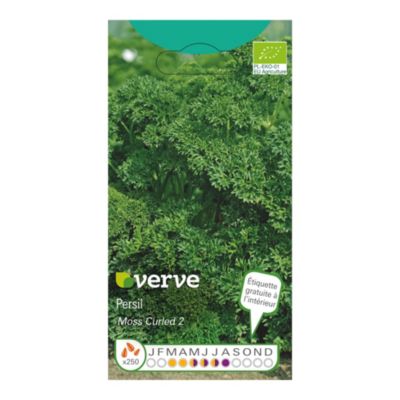 Graines de persil FRISE BIOLOGIQUES