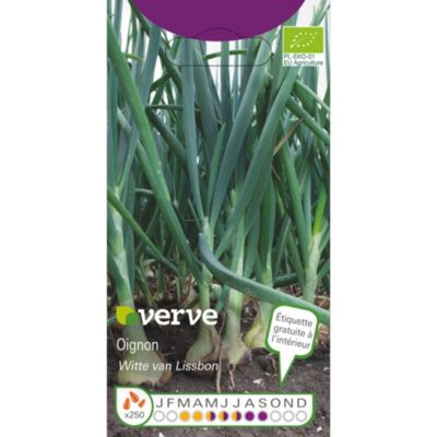 Graines d'oignons DOUX BIOLOGIQUES