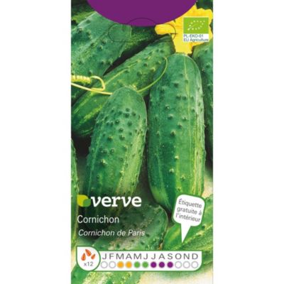 Graines de concombres GHERKIN CORN. BIO