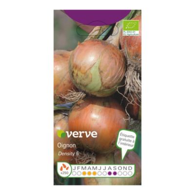 Graines d'oignons DENSITY 5 BIOLOGIQUES