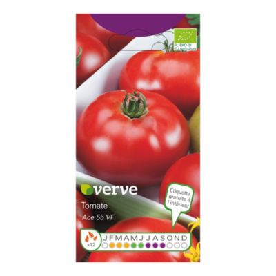 Graines de tomates ACE 55 BIOLOGIQUES