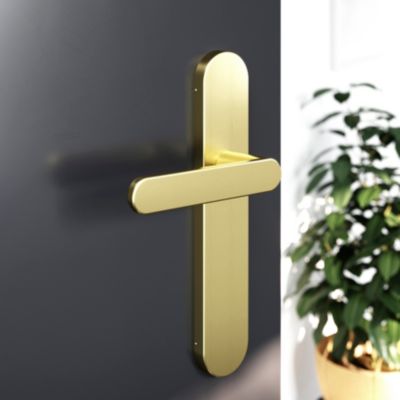 Ensemble poignée sur plaque rond GoodHome Minzh effet laiton satin doré L.120mm x l.42mm entraxe 165