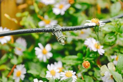 Kit d'irrigation goutte à goutte Verve 20 pièces