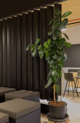 Cloison amovible à lames orientables Ella noir H.252 x l.18cm