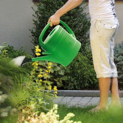Pomme d'arrosoir 10 et 14L