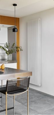 Radiateur eau chaude Acova Filin vertical double blanc 1972W - Acova