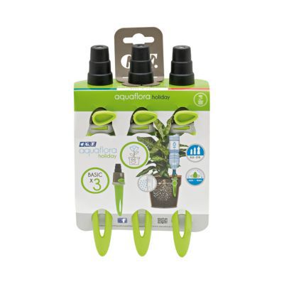 Kit 3 Aquaholiday basics