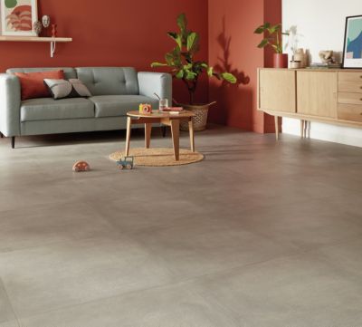 Carrelage sol intérieur gris Alba 60 x 60 cm