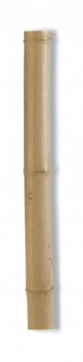 Tuteurs bambou décoratifs NORTENE diam 100120 x 24m Naturel Bambou