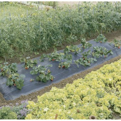 Paillage renforcé FRESASOL 1 50 x 5 Nortene