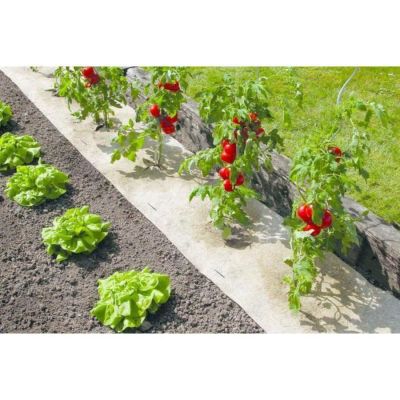 Paillage naturel pour jardin et potager 100% biodégradable NORTENE 50 x 300 cm 500 gm2