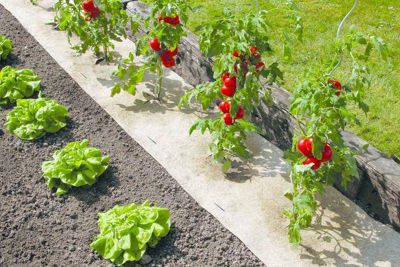 Nortene Paillage naturel 50 x 300 cm pour jardin et potager 100% 500 gm2