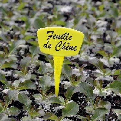 NORTENE Etiquette à planter Lot de 10 Label 15 cm Jaune - vue 2