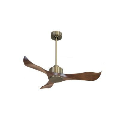 Klassfan