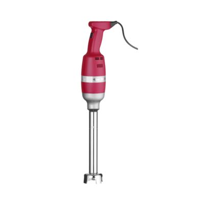 Mixeur Plongeant Profi Line - 300W - Vitesse Réglable -  100 - Hendi