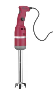 Mixeur Plongeur - Vitesse Réglable - Profi Line - 250W -  75 x (H)555 mm - Hendi