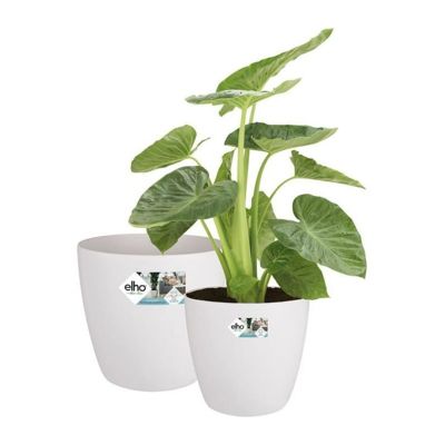 ELHO Lot de 2 pots de fleur rond à roulettes Brussels Ø35 x H33 cm et Ø39 x H365 cm 55 - vue 2