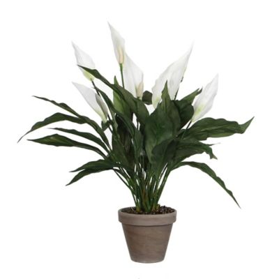 Spathiphyllum blanc artificiel ø40 x h.50 cm en pot Stan gris ø11,5cm