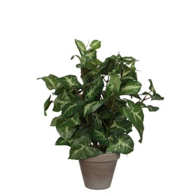 Syngonium vert artificiel ø25 x h.35 cm en pot Stan gris ø11,5 cm