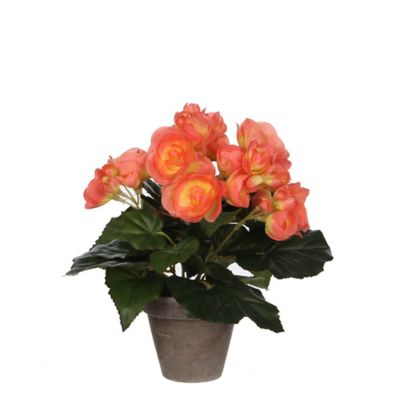 Begonia saumon artficiel ø20 x h.25 cm en pot Stan gris ø9 cm