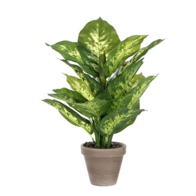 Dieffenbachia vert artificiel ø30 x h.40 cm en pot Stan gris ø11,5 cm