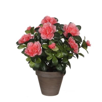 Azalea pêche artificiel 20 x h.27 cm en pot Stan gris ø11,5 cm