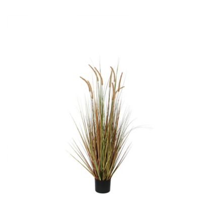 Herbe panache dogtail artificiel en pot vert ø35 x h.92 cm