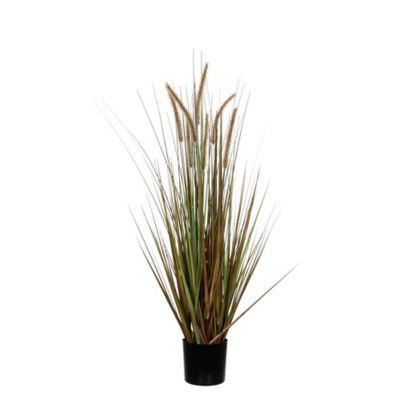 Herbe panache dogtail vert artificiel en pot ø70 x h.150 cm
