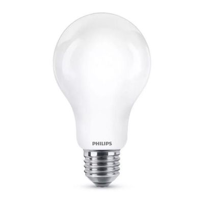 Ampoule led A67 E27 froid 2452lm Philips - vue 2