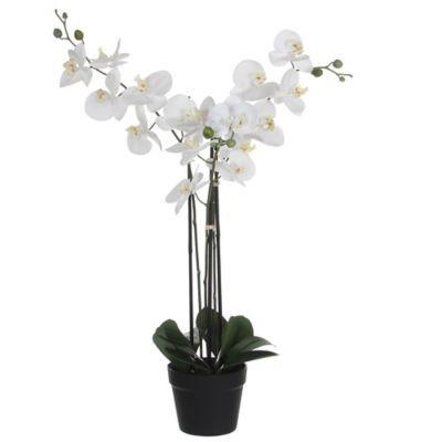 Phalaenopsis artificiel en pot plastique blanc 75 x 51x h.79 cm
