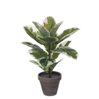 Caoutchouc vert panache artificiel ø34 x h.47 cm en pot Stan gris ø13,5cm