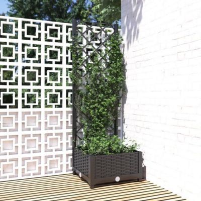 Vidaxl Jardinière avec Treillis Noir - vue 3