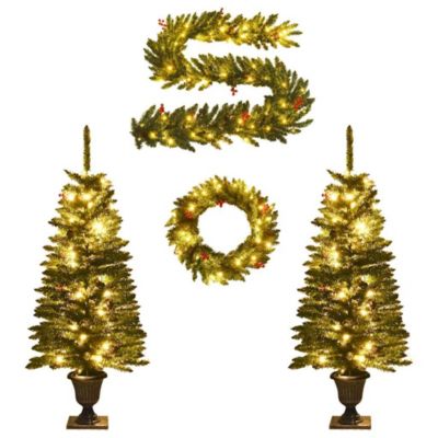 Sapin