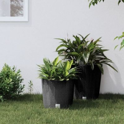 Jardinière