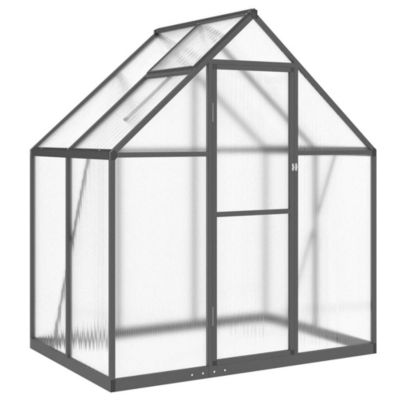 Serre avec cadre de base anthracite 169x114x195 cm aluminium vidaXL