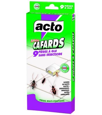 9 pièges naturels anti-cafards ACTO