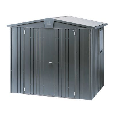 Abri de jardin en métal gris Biohort Europa 3  Ep.0 53 mm  3 33m²