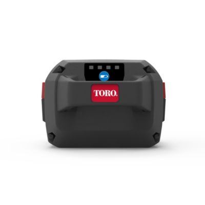 Batterie Toro 81860 60V 6Ah