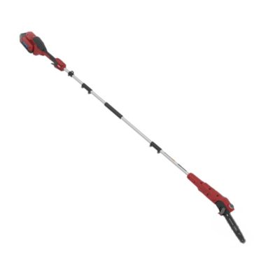 Élagueuse sur perche électrique Toro sans fil 60V MAX (sans batterie  sans chargeur)