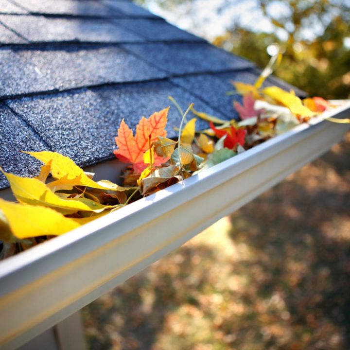 Façade, toiture, gouttière