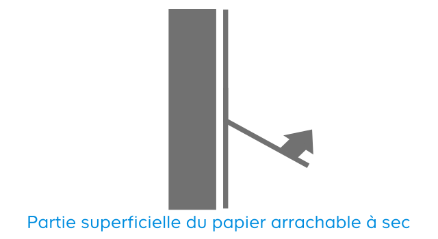 Décoller Du Papier Peint Lessivable Quel Papier Peint Choisir Castorama