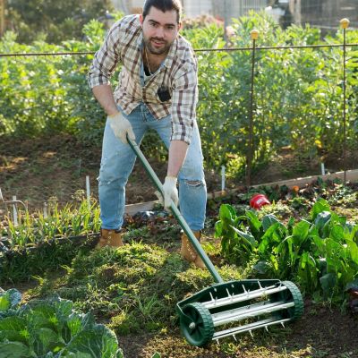 Aérateur à Gazon Aérateur Roulant de sol manuel pour jardin avec Longue Poignée Vert