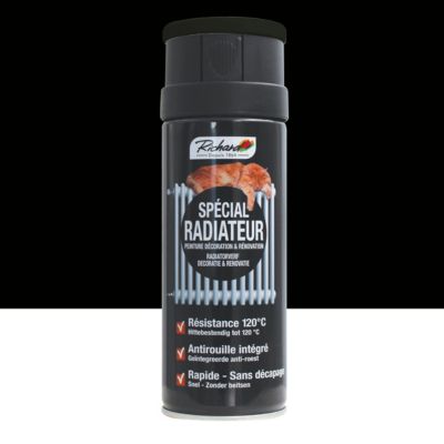 Aérosol RAL spécial radiateur - 9005 Noir Satin 400ml