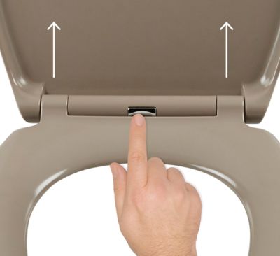 Abattant WC Diani avec frein de chute taupe GoodHome