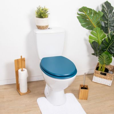 Wc Bleu Et Bois