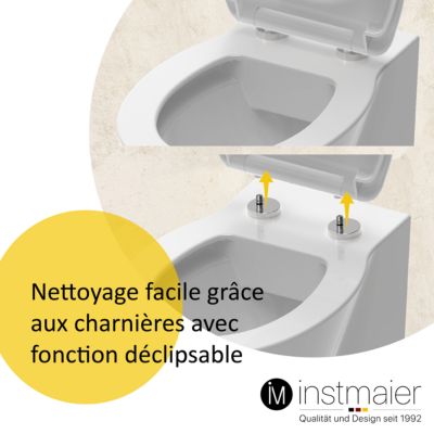 Abattant WC Jacon Delafon ALTAIR BLANC Frein De Chute Compatible Duroplast 94828967