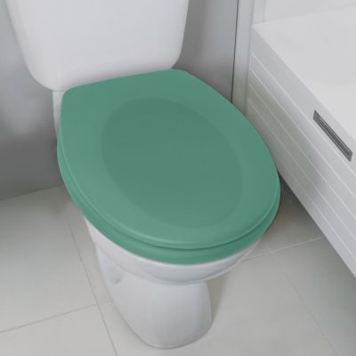 Abattant wc Thermo dur avec frein de chute NEELA Vert mat  Charnières ABS Chromé Spirella