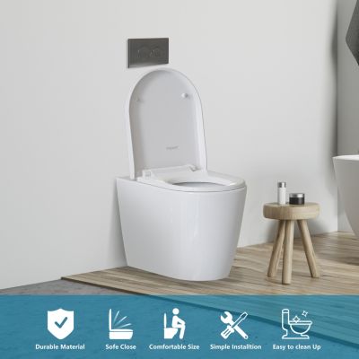 Abattant WC TODOT Déclipsable Forme D avec Frein de Chute