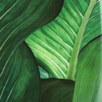 Abattant wood slim avec descente assistée jungle (47.5x36.5 cm - Vert)