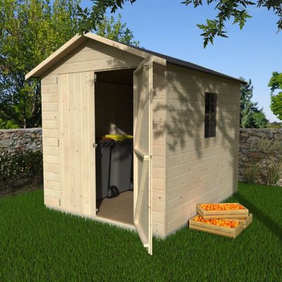 Abri de jardin Blooma Selwyn en bois coloris naturel ép.12 mm surface extérieure 4,87 m²